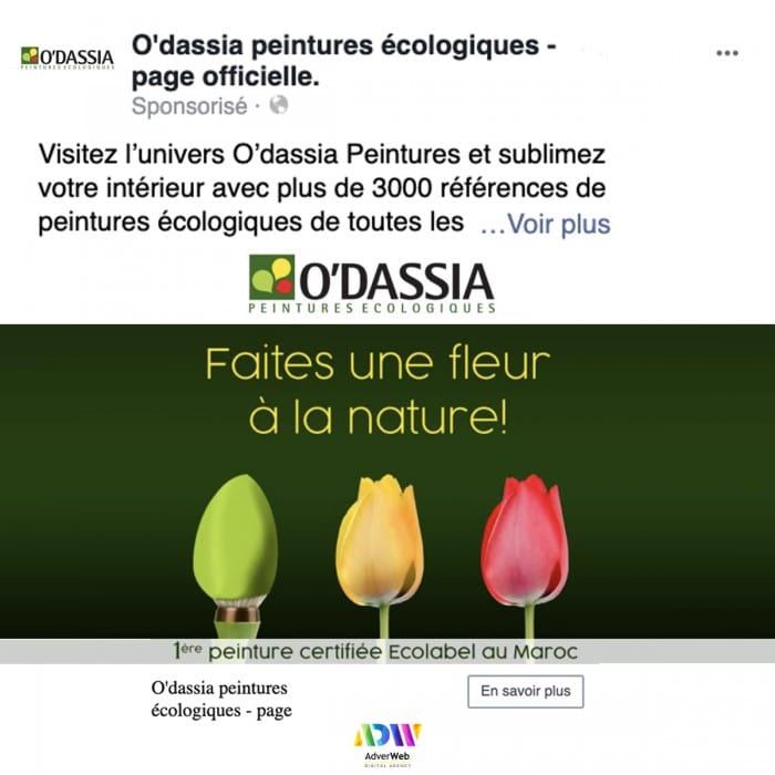dassia3